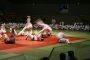 img004.jpeg.small.jpeg