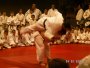 img007.jpeg.small.jpeg