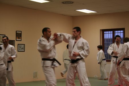 img020.jpeg.medium.jpeg