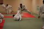 img146.jpeg.small.jpeg
