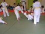 121-P1010433.JPG.small.jpeg