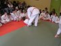 126-P1010441.JPG.small.jpeg