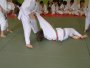 128-P1010445.JPG.small.jpeg
