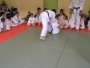 129-P1010446.JPG.small.jpeg