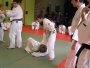 130-P1010447.JPG.small.jpeg