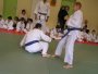 132-P1010449.JPG.small.jpeg