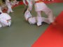 133-P1010451.JPG.small.jpeg
