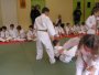 134-P1010452.JPG.small.jpeg