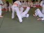 136-P1010454.JPG.small.jpeg
