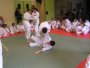 137-P1010455.JPG.small.jpeg