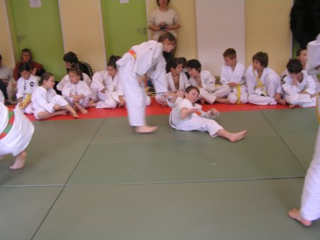 138-P1010458.JPG.medium.jpeg
