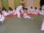 138-P1010458.JPG.small.jpeg