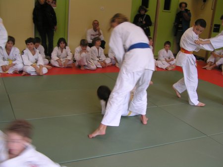 139-P1010459.JPG.medium.jpeg