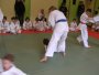 139-P1010459.JPG.small.jpeg