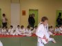 144-P1010465.JPG.small.jpeg