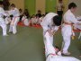 146-P1010467.JPG.small.jpeg
