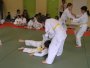 147-P1010469.JPG.small.jpeg