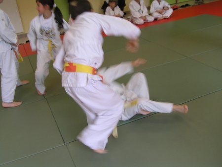 149-P1010472.JPG.medium.jpeg