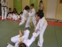 150-P1010473.JPG.small.jpeg