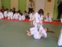 151-P1010474.JPG.small.jpeg
