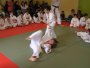 152-P1010475.JPG.small.jpeg