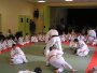 162-P1010485.JPG.small.jpeg