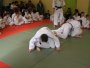 164-P1010487.JPG.small.jpeg