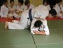 170-P1010496.JPG.small.jpeg