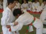 171-P1010497.JPG.small.jpeg