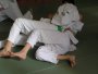172-P1010498.JPG.small.jpeg