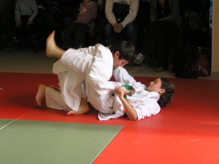 173-P1010499.JPG.medium.jpeg