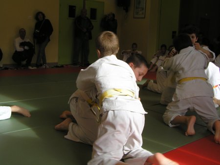 180-P1010512.JPG.medium.jpeg
