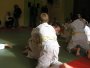180-P1010512.JPG.small.jpeg