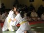 184-P1010517.JPG.small.jpeg