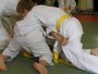 185-P1010518.JPG.small.jpeg