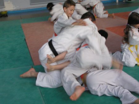 096-P1010716.JPG.medium.jpeg